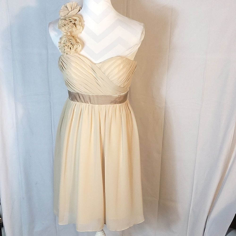 Bari Jay One Shoulder Chiffon Dress - Picture 7 of 7